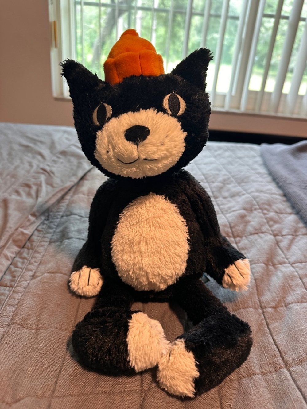 Jellycat Jack 🐈‍⬛